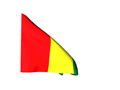 Guinee Flag